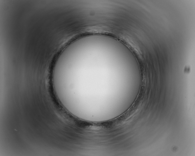 X0000102820255200808181032