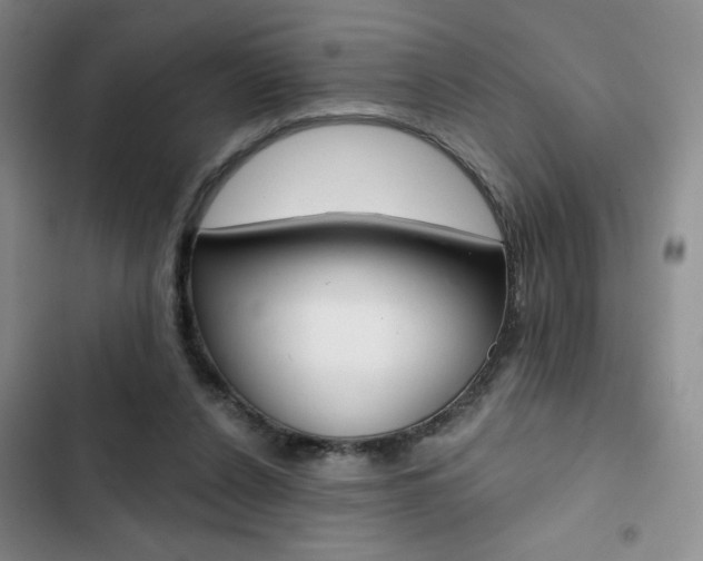 X0000102820256200808181032