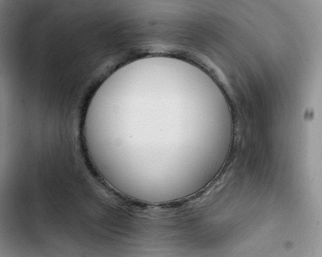 X0000102820257200808181032