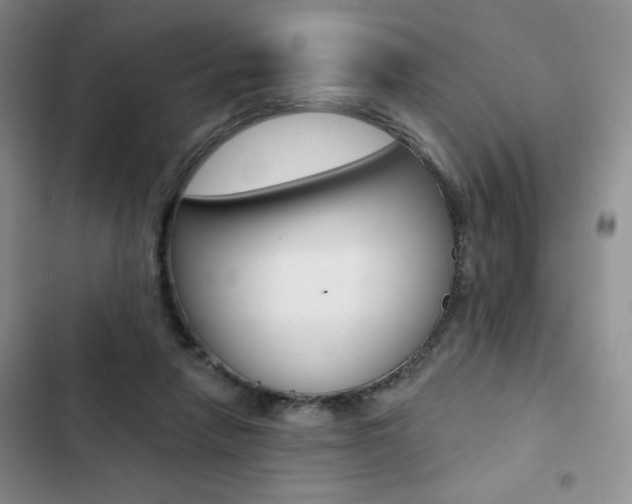 X0000102820258200808181032