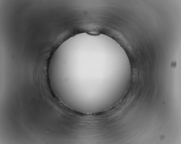 X0000102820259200808181032