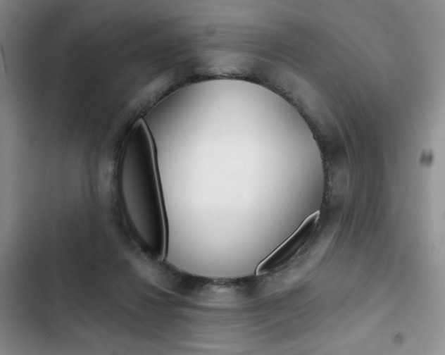 X0000102820260200808181032