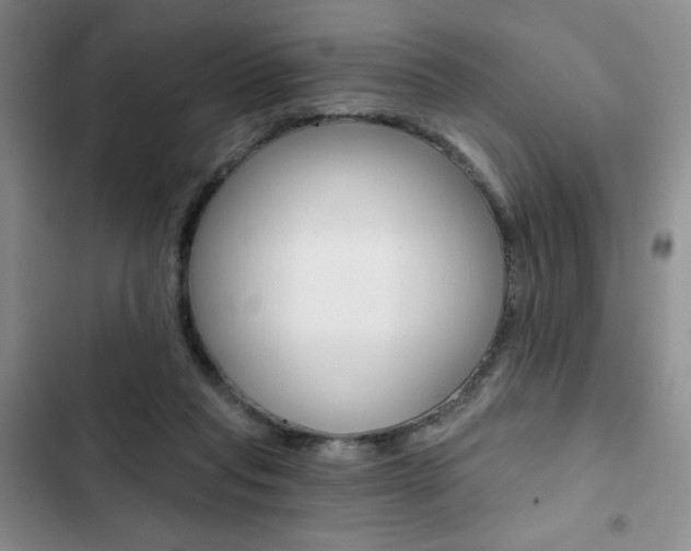 X0000102820261200808181032