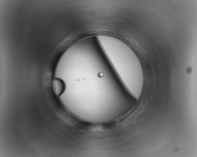 X0000102820262200808181032