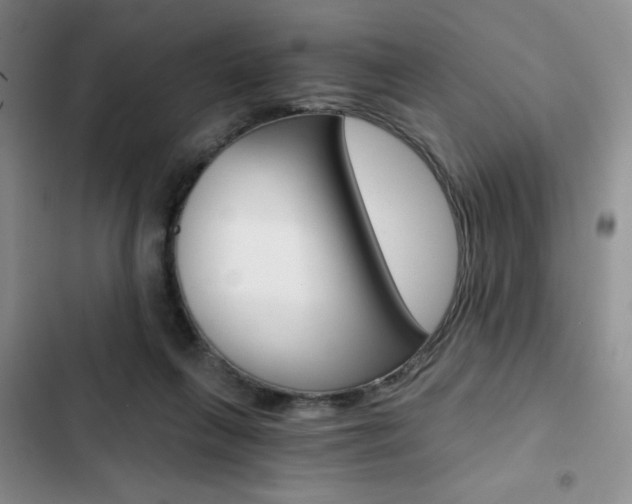 X0000102820263200808181032