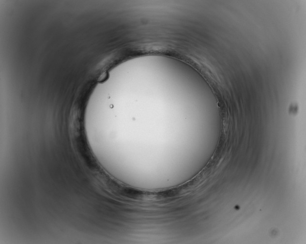 X0000102820264200808181032