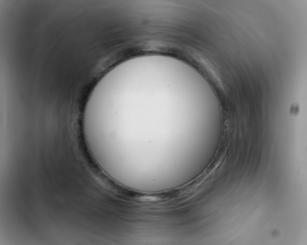 X0000102820265200808181032