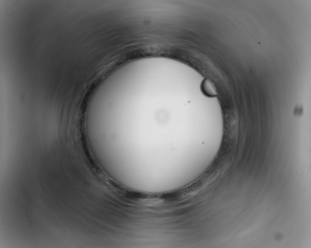 X0000102820266200808181032