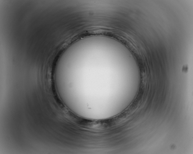 X0000102820267200808181032