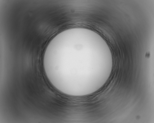 X0000102820268200808181032