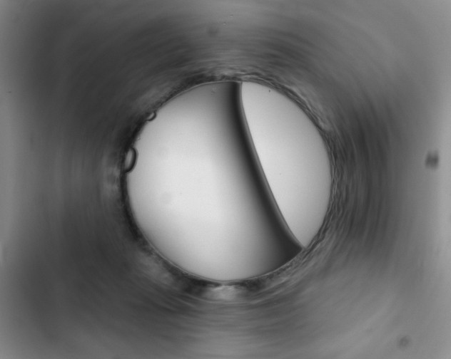 X0000102820269200808181032