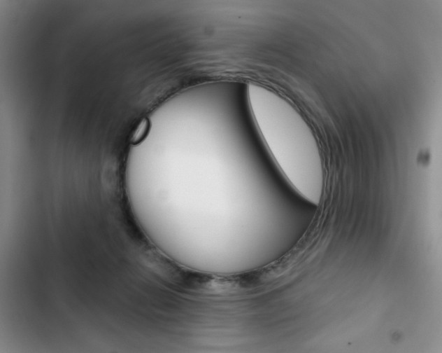 X0000102820270200808181032