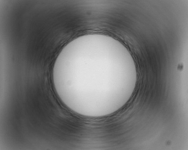 X0000102820272200808181032