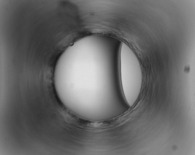 X0000102820273200808181032
