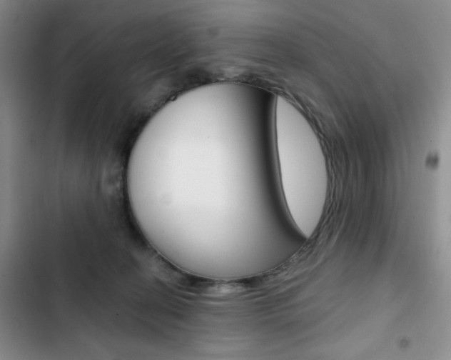 X0000102820274200808181032