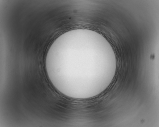 X0000102820276200808181032