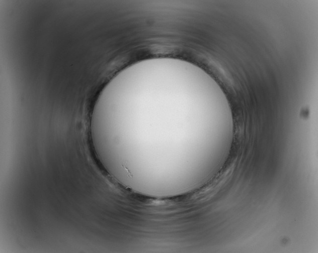 X0000102820277200808181032