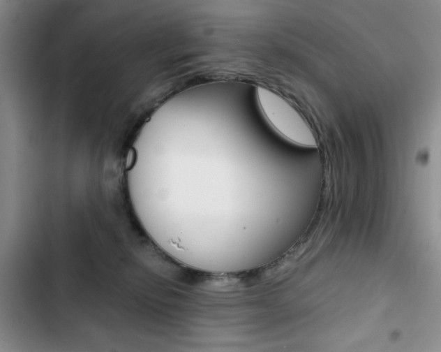 X0000102820278200808181032