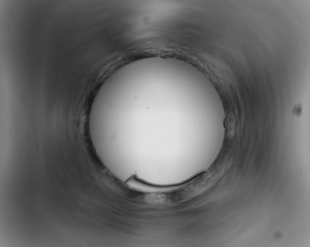X0000102820279200808181032