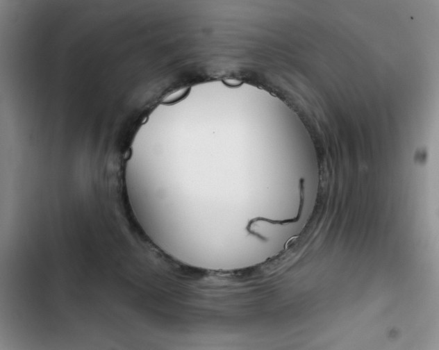 X0000102820280200808181032