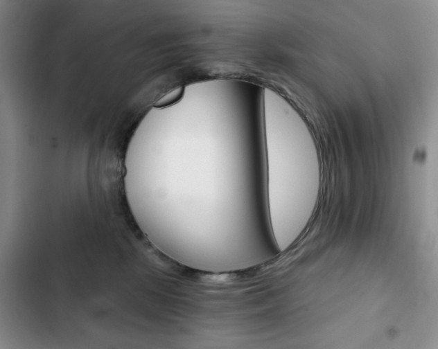 X0000102820281200808181032