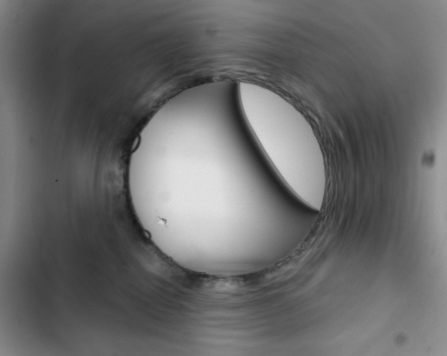 X0000102820282200808181032