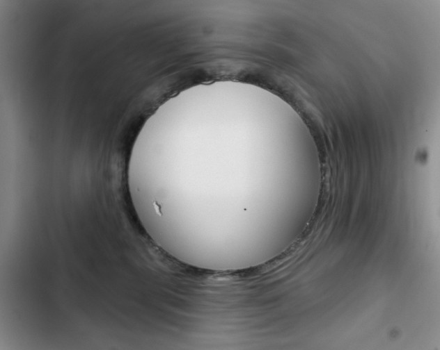 X0000102820283200808181032