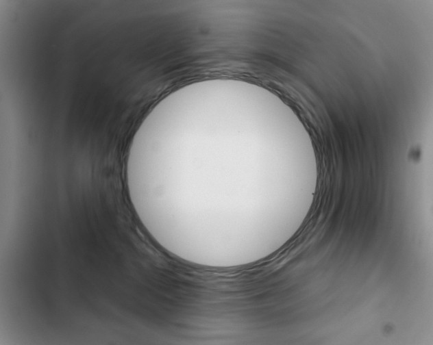 X0000102820284200808181032
