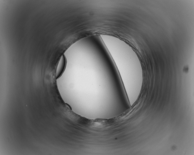 X0000102820285200808181032