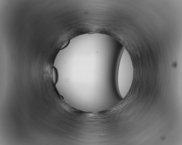 X0000102820286200808181032