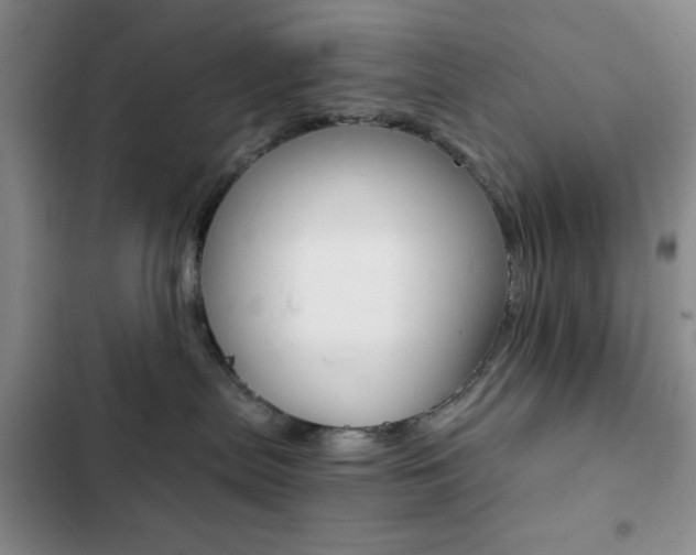 X0000102820287200808181032