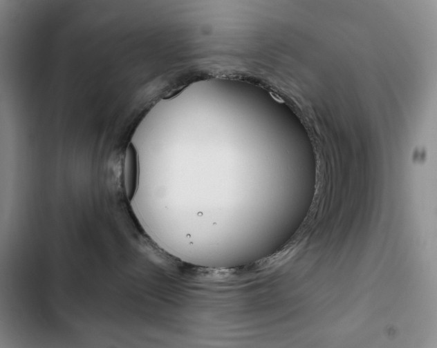 X0000102820288200808181032