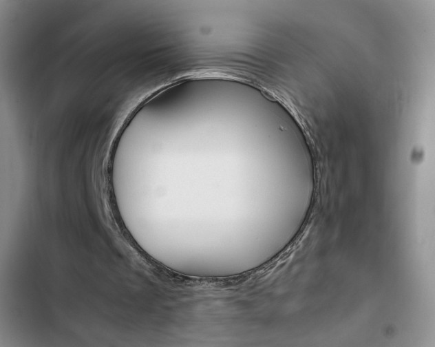 X0000102820289200808181032
