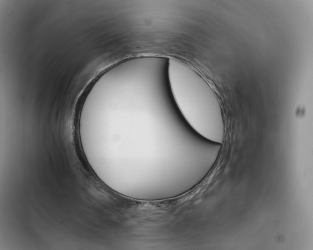 X0000102820290200808181032