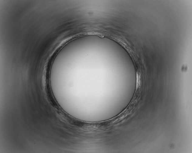 X0000102820291200808181032