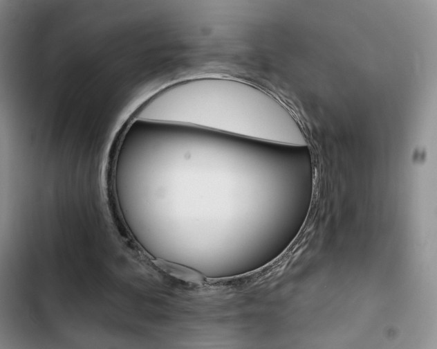 X0000102820292200808181032