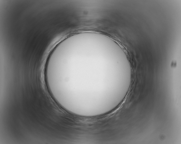 X0000102820293200808181031