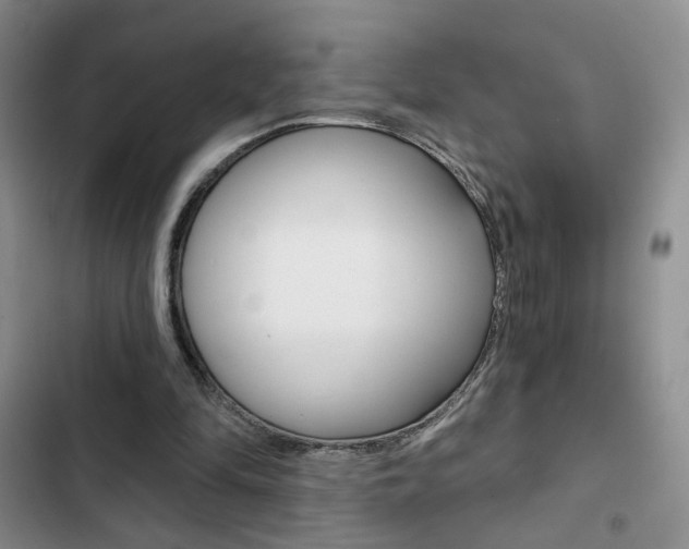 X0000102820294200808181031