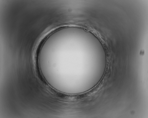 X0000102820295200808181031
