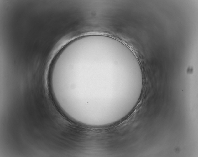 X0000102820296200808181031