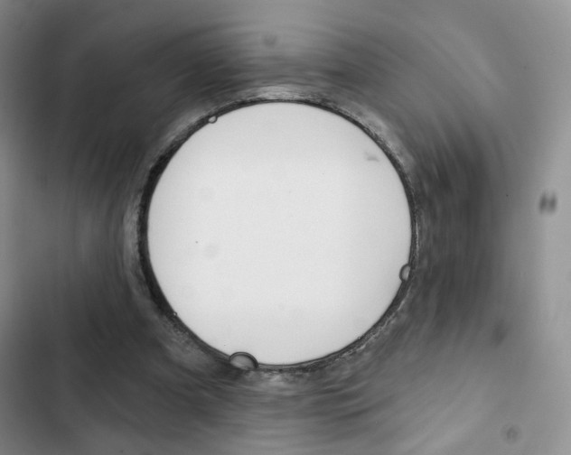 X0000102820297200808181031