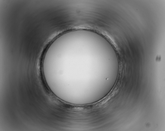 X0000102820298200808181031
