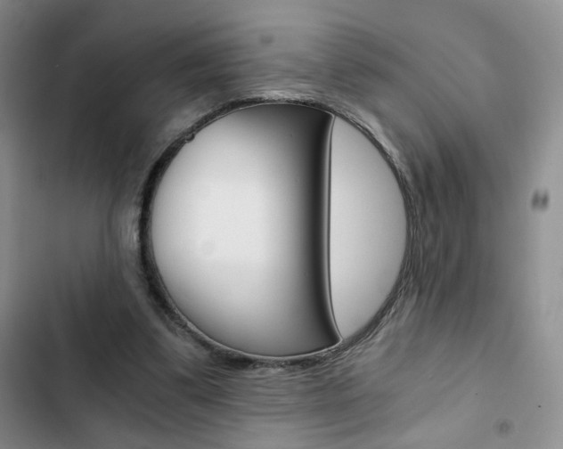X0000102820299200808181031