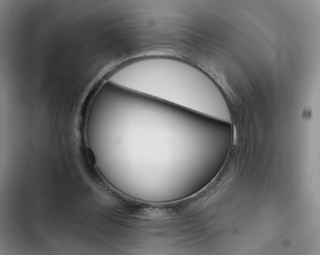 X0000102820300200808181031
