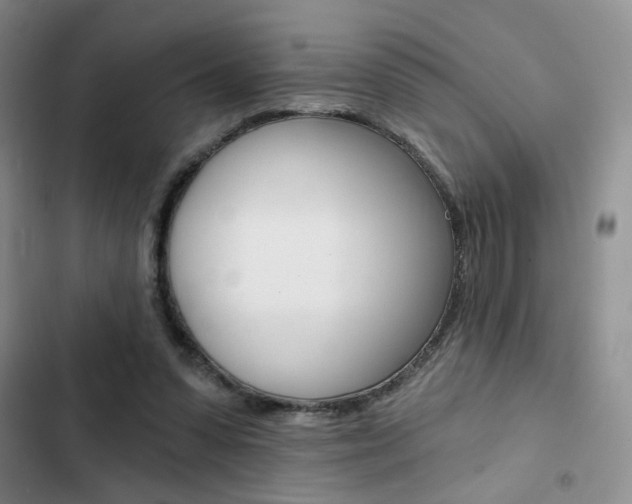 X0000102820303200808181031