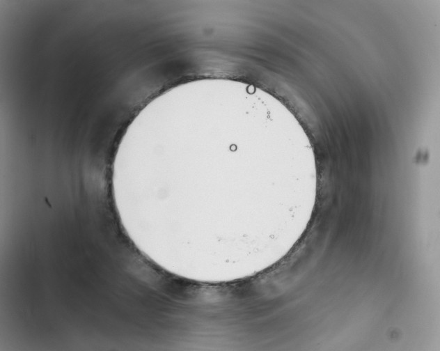 X0000102820305200808181031