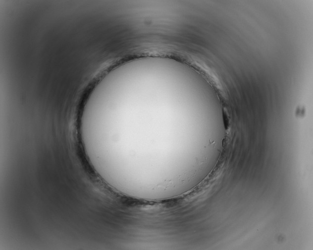 X0000102820306200808181031