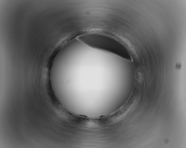 X0000102820308200808181031