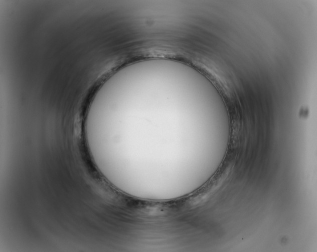 X0000102820310200808181031