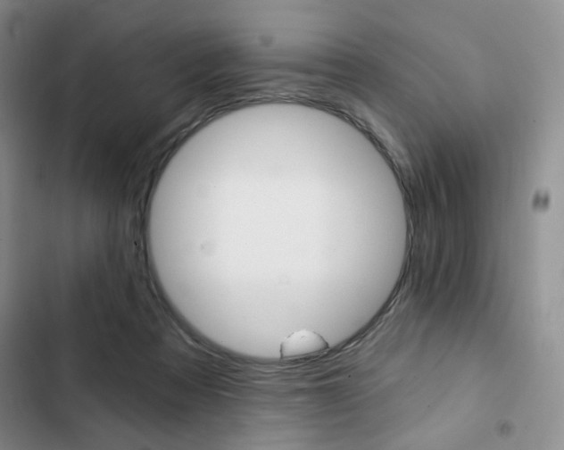 X0000102820313200808181031